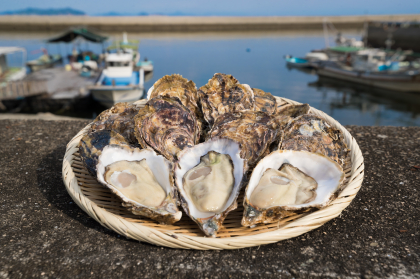 【祝】10月1日～、広島県産牡蠣の水揚げ開始！「牡蠣食う研」シーズン３、突入いたします！