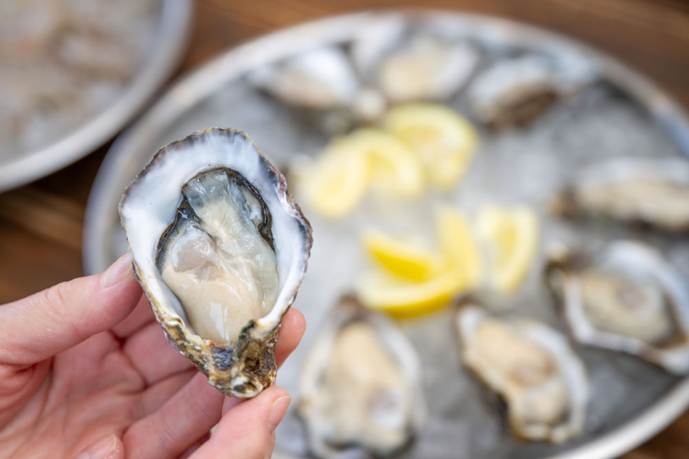 ライバル産地・宮城からやってきた賢者も唸る！畑で育った生牡蠣、の巻