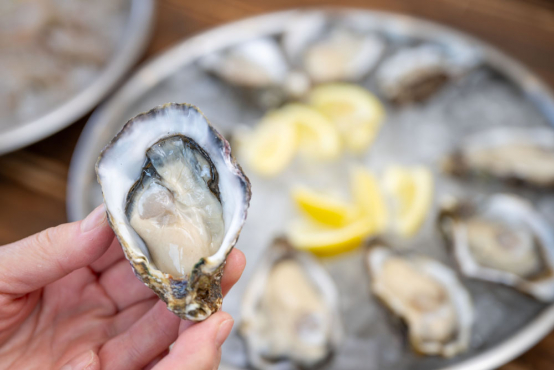 ライバル産地・宮城からやってきた賢者も唸る！畑で育った生牡蠣、の巻