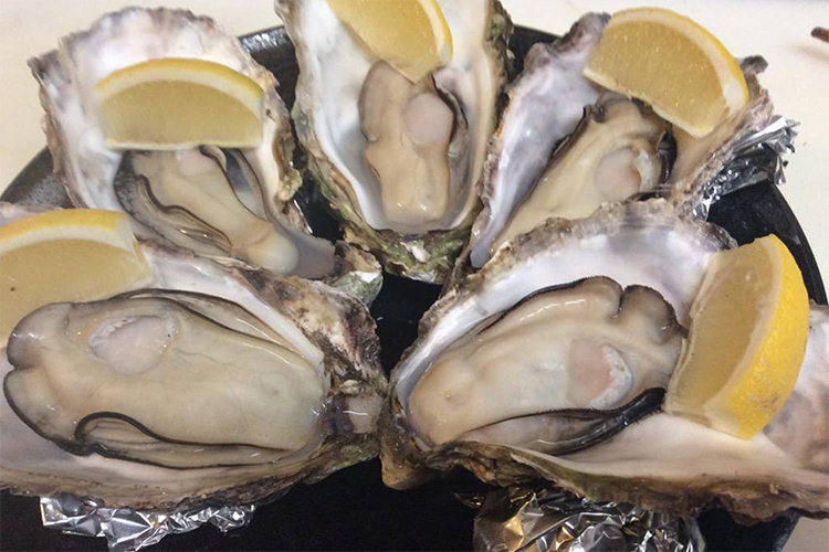 クレールオイスター 牡蠣小町 江田島牡蠣 牡蠣ングダム 広島はしご牡蠣