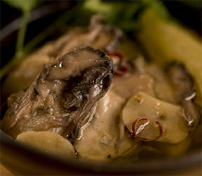 牡蠣のオイル漬け 牡蠣ングダム 広島はしご牡蠣