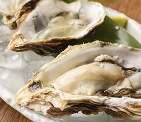 生牡蠣 牡蠣ングダム 広島はしご牡蠣