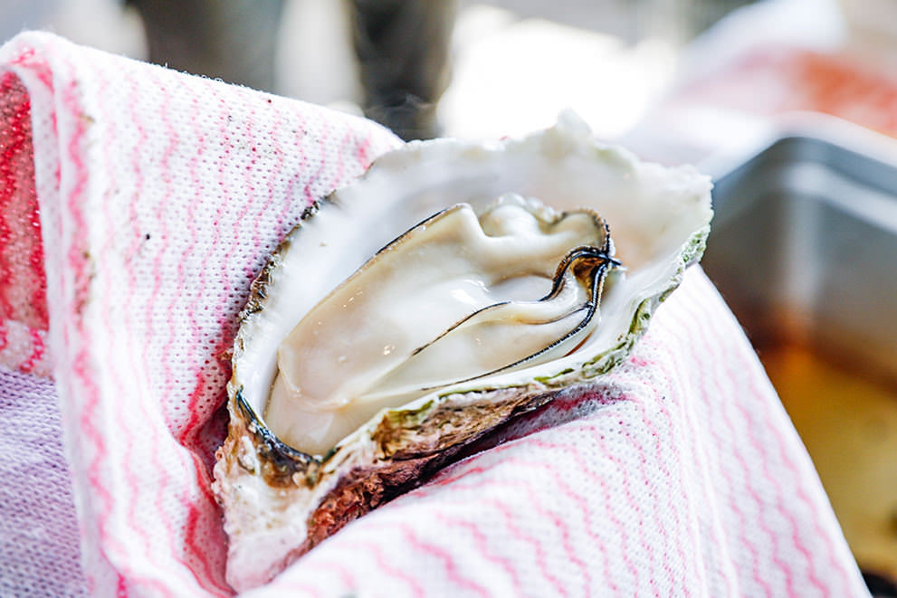 ミルキーで濃厚､春の恵･江田島の朝採れ牡蠣…！